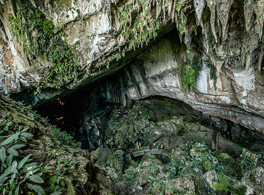 2D1N Mulu Show Caves