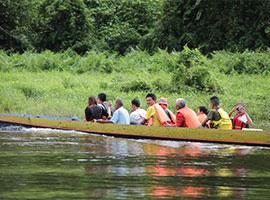 Gunung Mulu National Park Treks and Trails