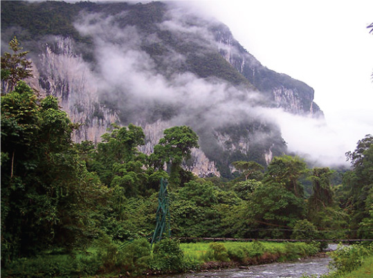 Gunung Mulu Summit Trek