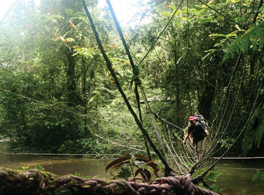 The Headhunter’s Trail