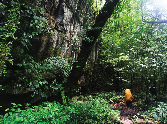 The Headhunter’s Trail