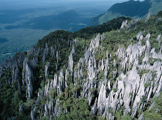 3D2N Mulu Pinnacles