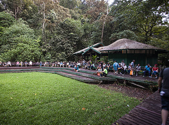 3D2N Mulu Show Caves