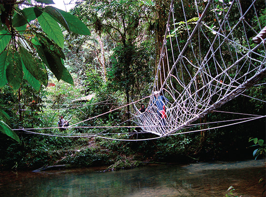 5D4N Mulu Show Caves + Pinnacles + Headhunter Trails